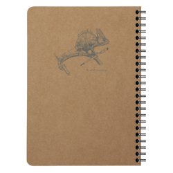 Clairefontaine Flying Spirit A5 Notesbog Spiralindbundet Natur