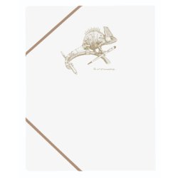 Clairefontaine Flying Spirit A4 Elastikmappe Hvid