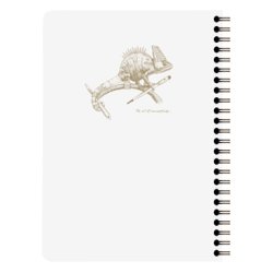 Clairefontaine Flying Spirit A5 Notesbog Spiralindbundet Hvid