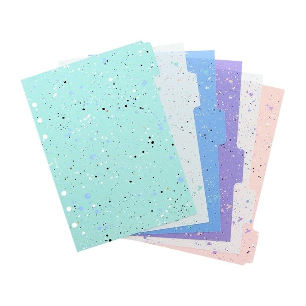 Filofax Expressions A5 Register