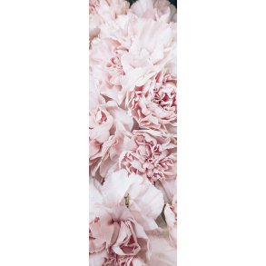 Skna Ting Bogmrke/Kort - Poner