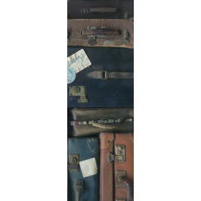 Skna Ting Bogmrke/Kort - Kufferter