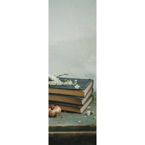 Skna Ting Bogmrke/Kort - Bger