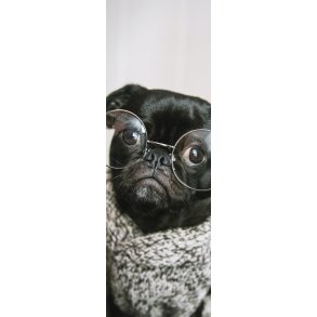 Skna Ting Bogmrke/Kort - Mops