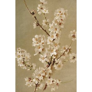 Skna Ting Enkeltkort - Vintage Spring - White Cherry Flowers