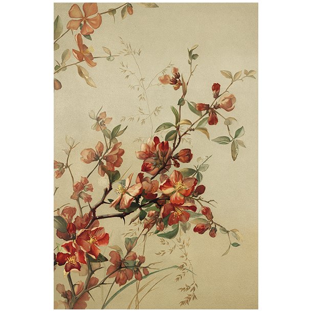Skna Ting Enkeltkort - Vintage Spring - Red Cherry Flowers