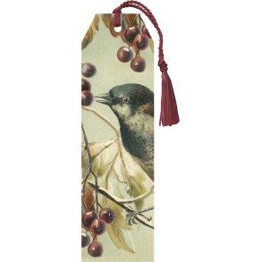 Skna Ting Bogmrke - Fugl & br