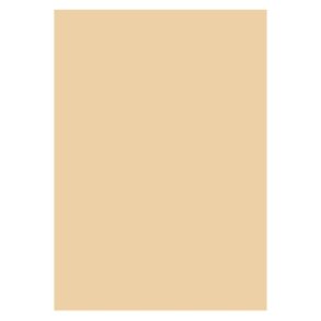 Karton A4 - 300g. 1 Ark - Beige