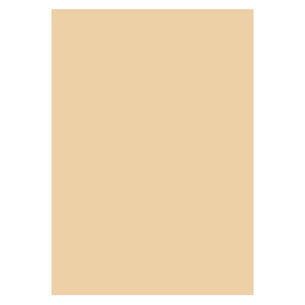 Karton A4 - 300g. 1 Ark - Beige