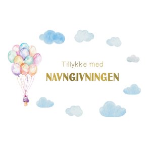 Hartung Postkort - Tillykke med navngivningen