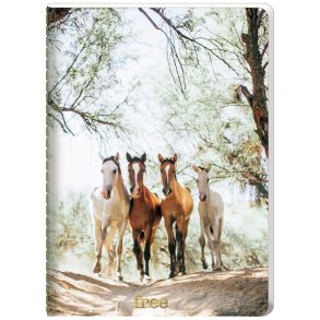 Hartung Noteshfte A5 - Horses