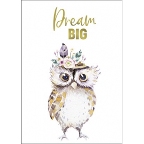 Hartung Postkort - Dream big