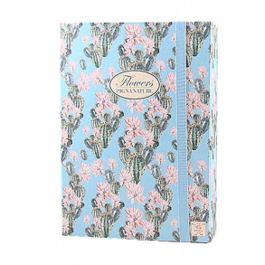 Pigna Nature Elastikboks - 7 cm. Kaktus lysebl