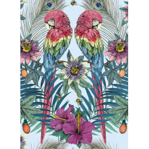 Matthew Williamson Dobbeltkort Ventura