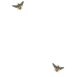 Brevpapir St - Honey Bee