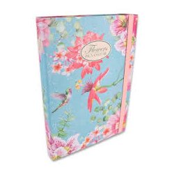 Pigna Nature Elastikboks - 3 cm. Kolibri