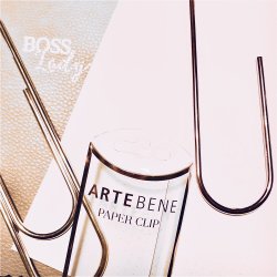 Artebene Papirclips XXL Gold