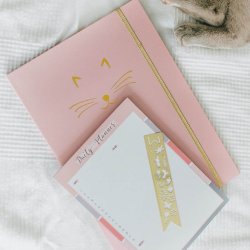 Artebene Daily Planner Pink