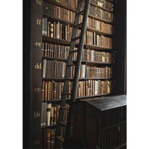 Skna Ting Dobbeltkort - A Book Affair - Books & Ladder