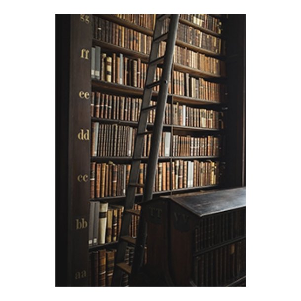Skna Ting Dobbeltkort - A Book Affair - Books &amp; Ladder