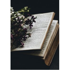 Skna Ting Dobbeltkort - A Book Affair - A book