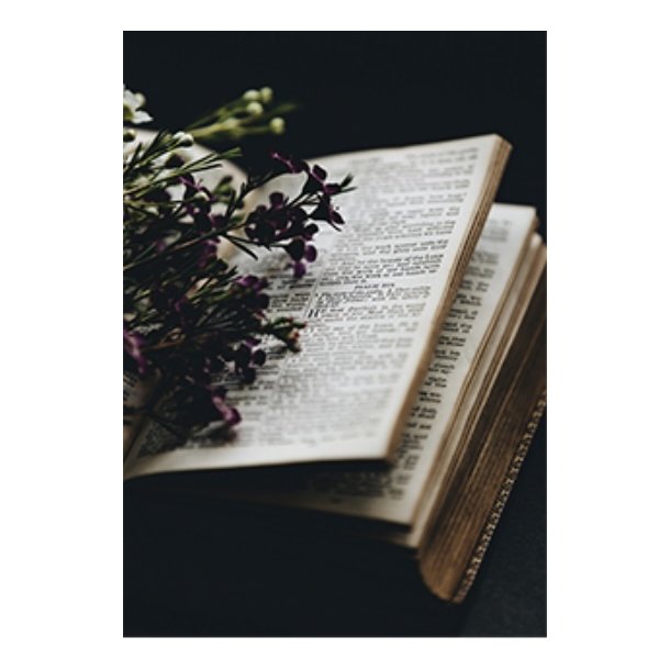 Skna Ting Dobbeltkort - A Book Affair - A book