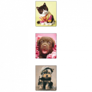 Magnetisk Bogmrke Kitty/Puppy/Puppy