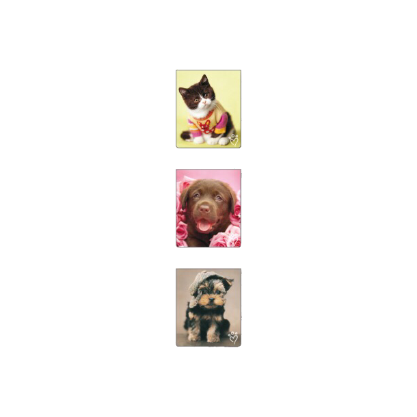 Magnetisk Bogmrke Kitty/Puppy/Puppy