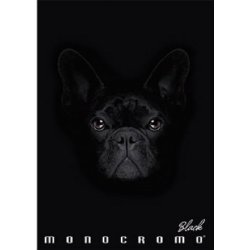 Pigna Black Monocromo Ringbind 4 cm. Dog - Kontor - staxenshop.dk