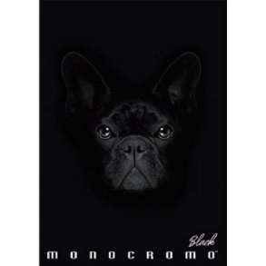 Pigna Black Monocromo Ringbind - 4 cm. Dog