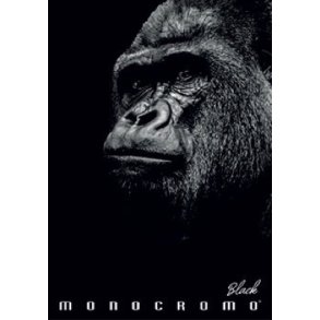 Pigna Black Monocromo Ringbind - 4 cm. Gorilla