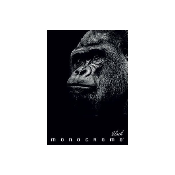 Pigna Black Monocromo Ringbind - 4 cm. Gorilla