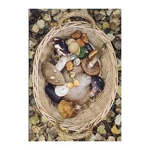 Skna Ting Dobbeltkort - Fall in Love - Mushrooms