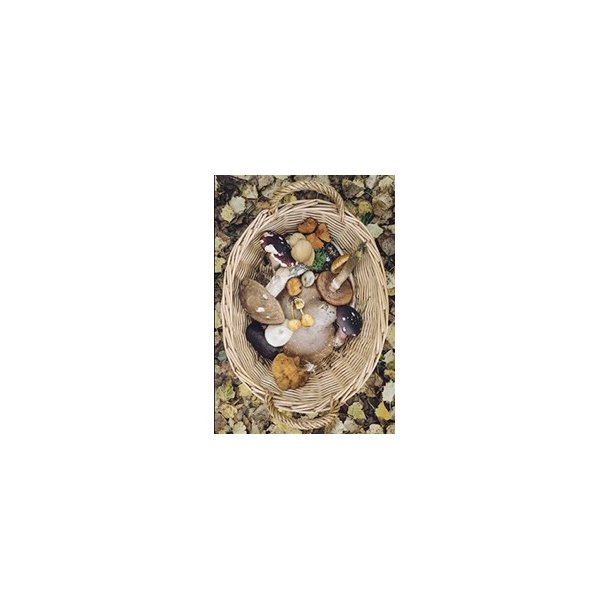 Skna Ting Dobbeltkort - Fall in Love - Mushrooms