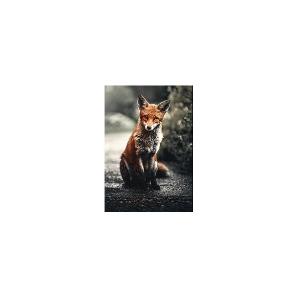 Skna Ting Dobbeltkort - Fall in Love - Fox