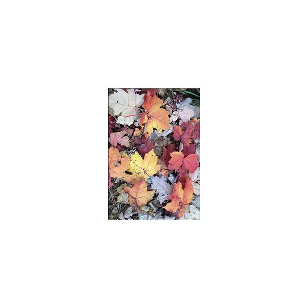 Skna Ting Dobbeltkort - Fall in Love - Leaves