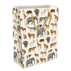 Museums &amp; Galleries Gavepose Safari stor