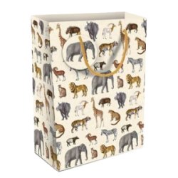 Museums &amp; Galleries Gavepose Safari stor