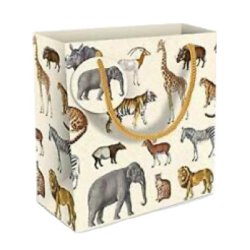 Museums &amp; Galleries Gavepose Safari lille