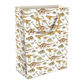 Museums & Galleries Gavepose Dinosaurer stor