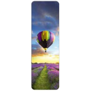 Hartung Bogmrke - Hot air balloon