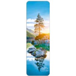 Hartung Bogm�rke - Reflection