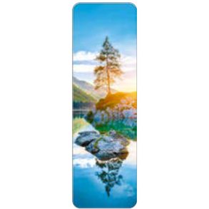 Hartung Bogmrke - Reflection