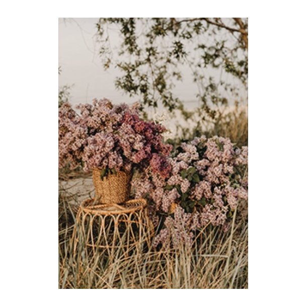 Skna Ting Dobbeltkort - Nordic Light - Flowers