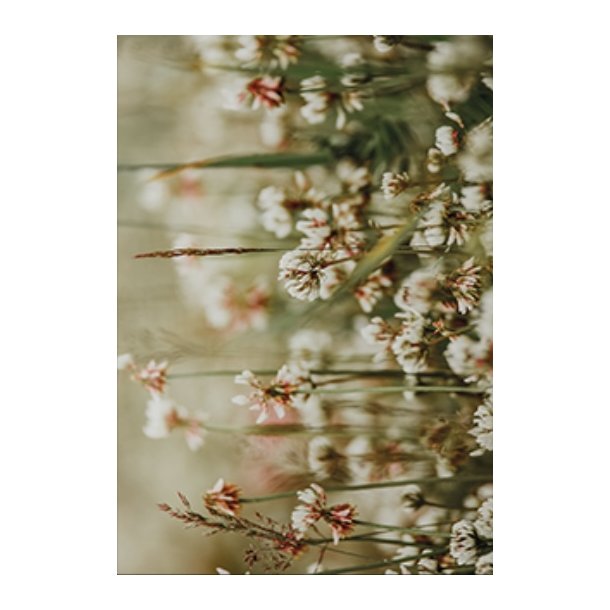 Skna Ting Dobbeltkort - Nordic Light - White Clover