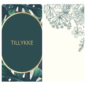 4 Enkelkort m. kuverter NO3