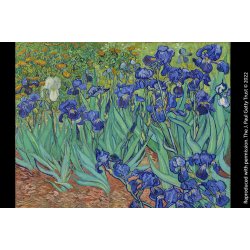 Paperblanks Blyant - Van Gogh Irises