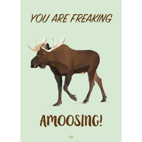 Citatplakat A5 Kort - Amoosing!