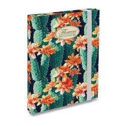 Pigna Nature Elastikboks - 3 cm. Kaktus mrkegrn