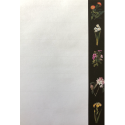 Brevpapir st - Delany Flowers